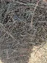PXL_20261014_083107677.webp