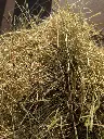 PXL_20260424_174051335.webp