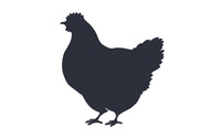 Pluimvee