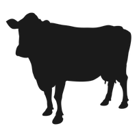 Veehouderij