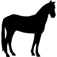 paarden