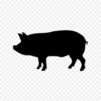 varkens