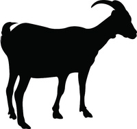 Geiten