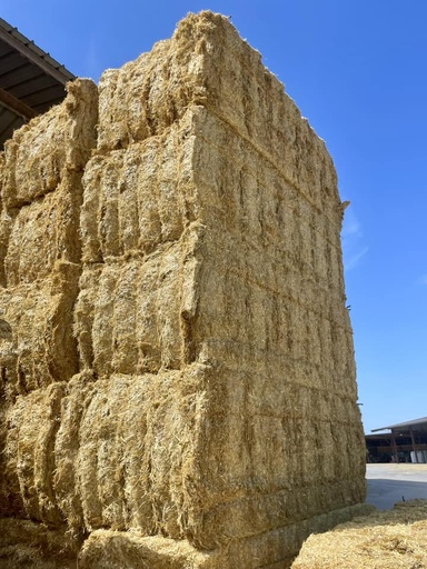 Große Ballen gehäckseltes Stroh