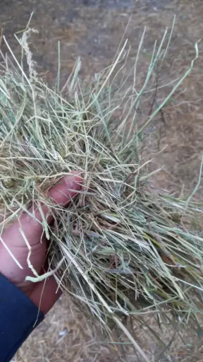 [57220] Frans Weidehooi partij 57